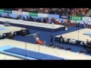 World High Bar Final 2010 Rotterdam: Epke Zonderland