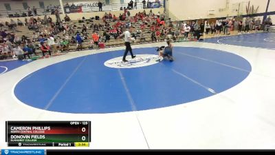 125 lbs Cons. Round 2 - Donovin Fields, Elmhurst College vs Cameron Phillips, North Central College