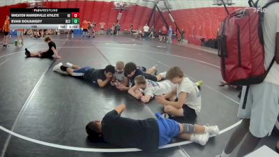 106 lbs Placement Matches (8 Team) - Evan Douangdy, Rochester Century B vs Wheaton Warrenville Athlete, Oswego East