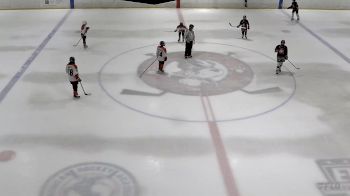 Replay: Home - 2024 Hockey Dev. vs Bears HC | Jul 12 @ 9 AM