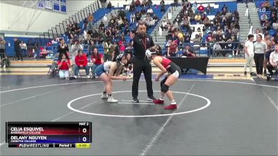 103 lbs Quarterfinal - Celia Esquivel, Bakersfield College vs Delany Nguyen, Cerritos College