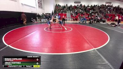 126 lbs Champ. Round 2 - Ronan Copeland, Palmer Ridge vs Orion Martinez, Las Animas
