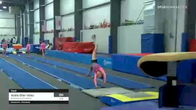 Addie Oiler-Velez - Vault, Buckeye Gymnastics - 2021 American Classic and Hopes Classic