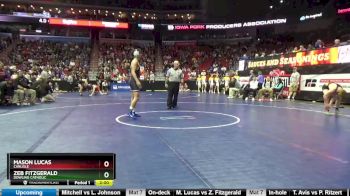 3A-132 lbs Champ. Round 1 - Mason Lucas, Carlisle vs Zeb Fitzgerald, Dowling Catholic
