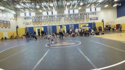 110 lbs Quarterfinal - Cassidy Kephart, Buchholz vs Zoey McDonald, St John Neumann
