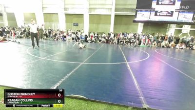 80 lbs Round 2 (4 Team) - Keagan Collins, Sanderson vs Boston Brindley, Stansbury