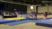 Asher Little - Double Mini Trampoline, High Altitude - 2021 USA Gymnastics Championships