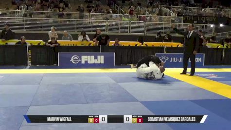 Sebastian Velasquez Bardales vs Marvin Wigfall 2025 Pan Jiu Jitsu IBJJF Championship