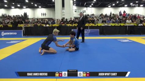 Jason Wyatt Carey vs Isaac James Huertas 2025 World IBJJF Jiu-Jitsu No-Gi Championship
