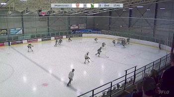 Replay: Home - 2025 NWCAA Bruins U15 vs CNHA Green U15 | Mar 8 @ 5 PM