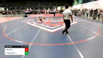 106 lbs Consolation - Cooper Brandt, VA vs Jacob Fitzpatrick, MN