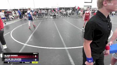 126 lbs Quarterfinal - Blake Endres, RT Elite vs Jacob Hillshafer, Askren Wrestling Academy