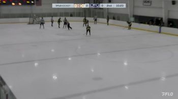 Replay: Home - 2024 Cubs vs WBS Knights | Feb 3 @ 12 PM