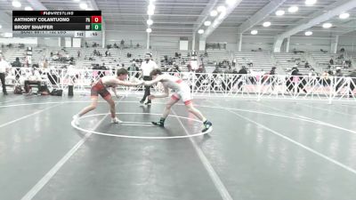 132 lbs Consi Of 16 #2 - Anthony Colantuono, PA vs Brody Shaffer, NY