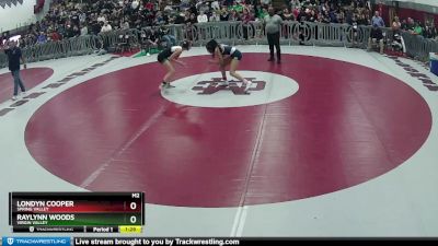 110 lbs Round 3 - Raylynn Woods, Virgin Valley vs Londyn Cooper, Spring Valley