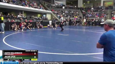 65 lbs Champ. Round 3 - Jaxyn Hollenbach, Nebraska Boyz vs Jacob Leick, Powerhouse Wrestling Club