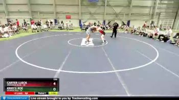 170 lbs Round 2 (8 Team) - Carter Lueck, Wisconsin Blue vs Kriecg Roe, Georgia Red