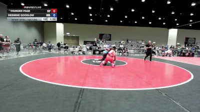 165 lbs Champ. Rd Of 16 - Thunder Page, South Central Punishers vs Desmine Goodlow, Mighty Bluebirds