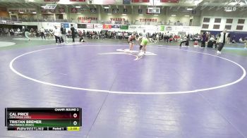 141 lbs Champ. Round 2 - Cal Price, Concordia (Neb.) vs Tristan Bremer, Providence (Mont.)