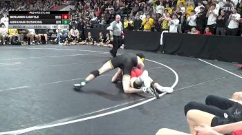 165 lbs Quarterfinal - Abraham Bushong, Southeast Polk vs Benjamin Lightle, North Scott