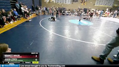 92 lbs 1st Place Match - Bennett Walsh, Ascend Wrestling Academy vs Jaxon Lynch, Punisher Wrestling Company