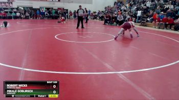 139 lbs Cons. Round 3 - Robert Wicks, Mankato West vs Mikale Goblirsch, Wabasso