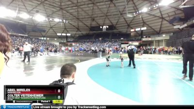 41-45 lbs Quarterfinal - Colter Veitenheimer, South West Washington Wrestling Club vs Abel Mireles, Washington