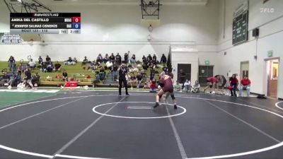 110 lbs Cons. Semi - Anika Del Castillo, Mt. San Antonio College vs Jennifer Salinas Cisneros, Bakersfield College