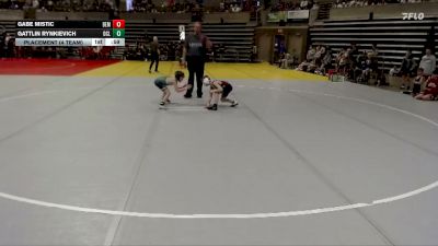 55 lbs Placement (4 Team) - Gattlin Rynkievich, Dassel-Cokato-Litchfield vs Gabe Mistic, Bemidji