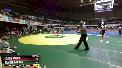 113 lbs Semis & Wb (16 Team) - Leland Mendez, Grassfield vs Grayson Barnhill, South Carroll