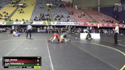 133 lbs Placement (4 Team) - Cael Woods, Tiffin vs Alex Fernandez III, King