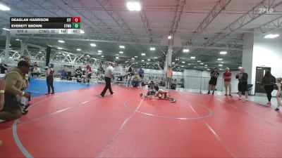 64 lbs Finals (2 Team) - Everett Brown, CTWHALE ORCA vs Deaglan Harrison, Steller Trained Fett