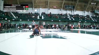 174 lbs Champ. Round 1 - Aaron Ferguson, Kent State vs Connor Owens, Michigan