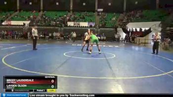 220 lbs Semifinal - Layden Olson, Ashville vs Brody Lauderdale, Oak Grove