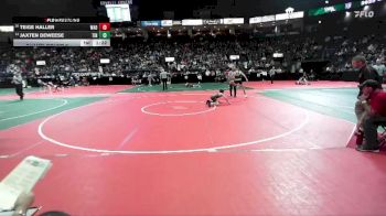 102 lbs Champ. Round 2 - Jaxten DeWeese, TIN3 vs Teige Haller, WAD1