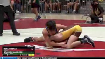 120 lbs Quarterfinal - Allan Hendricks, Calvary Chapel (Santa Ana) vs Christian Diaz, Vista