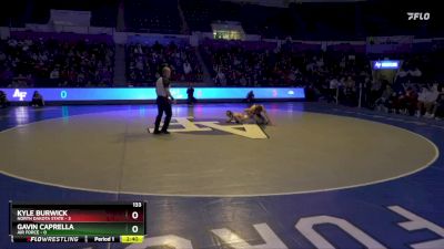 133 lbs Gavin Caprella, Air Force vs Kyle Burwick, North Dakota State