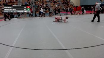 125 lbs Cons. Round 2 - Gabriel Michels, Ridgewater Community College vs Cole Welte, Augustana