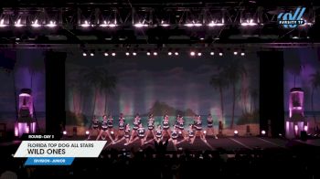 Florida Top Dog All Stars - Wild Ones [2025 L1 Junior Day 1] 2025 The American Open Orlando Nationals