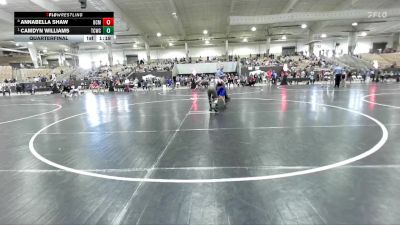 95 lbs Quarterfinal - Camdyn Williams, Team Clarksville TCWC vs Annabella Shaw, Overton Co MSWC