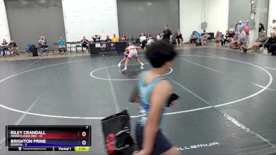 87 lbs Placement Matches (16 Team) - Riley Crandall, Pennsylvania Red vs Brighton Prine, Georgia