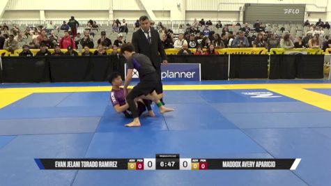 Maddox Avery Aparicio vs Evan Jelani Torado Ramirez 2025 World IBJJF Jiu-Jitsu No-Gi Championship