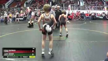 60 lbs Semis & 1st Wrestleback (8 Team) - Liam Wood, Brighton Black vs Cole Patrick, Hudson