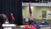 Madi Henry - Women's Group, Gym Nation - 2021 Women's Xcel Region 4 Championships