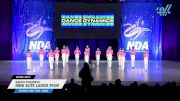 Dance Dynamics - Mini Elite Large Pom [2025 Mini - Pom - Large Day 2] 2025 NDA All-Star National Championship
