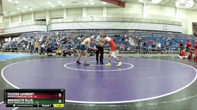 117 lbs Round 4 (6 Team) - Tucker Harbert, Dragon Wrestling Club vs Breighlyn Ellis, Delta Wrestling Club Inc.