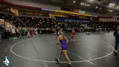 105 lbs Champ. Round 1 - Zoey Rooks, Central DeWitt vs Mara Davis, Algona