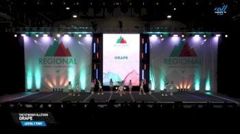 The Stingray Allstars - Grape [2025 L1 Tiny Day 2] 2025 The Southwest Regional Summit