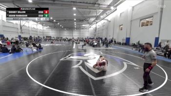 141 lbs 5th Place Match - Adam Ramadan, Stevens Tech vs Sidney Dillon, Stevens Tech