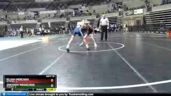 95 lbs Finals (8 Team) - Elijah Mercado, St. Peter vs Dresden Wegscheid, Perham